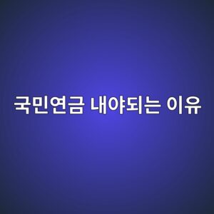 소득이 없는 달에도 국민연금 내야 하는 이유 1 국민연금 내야되는 이유