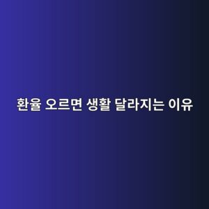환율 오르면 내 생활이 달라지는 이유, 환율 기초 쉽게 정리 2 환율 오르면 생활 달라지는 이유